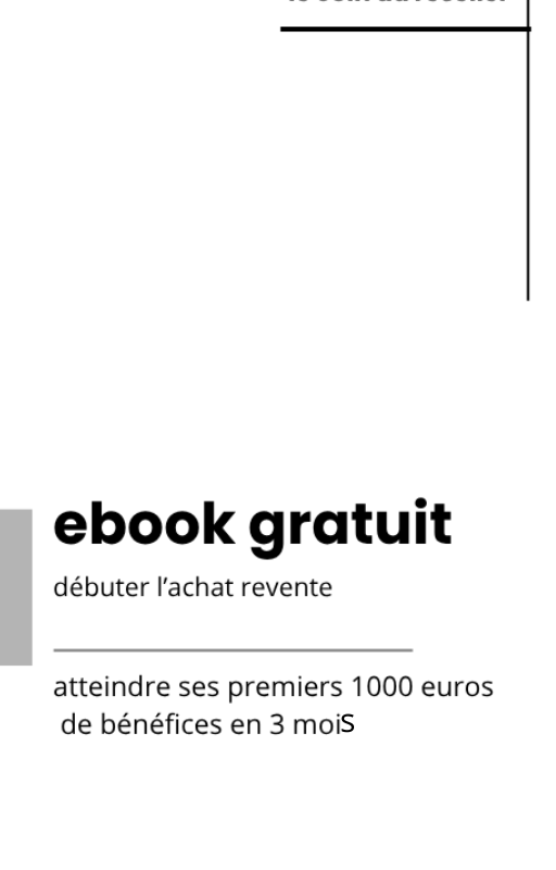 comment débuter l'achat revente sur vinted-ebook de  présentation gratuit
