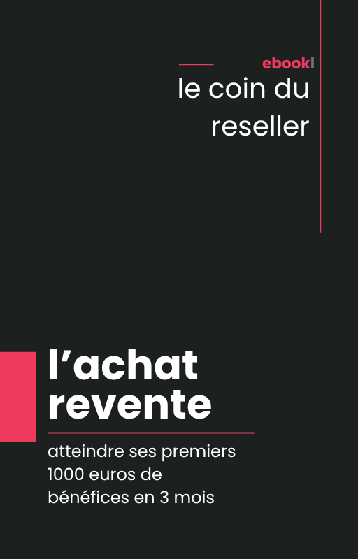 "L’Achat-Revente sur Vinted : La méthode complète pour générer ses premiers revenus en ligne"
